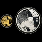 Rarität 1 Unze Silber + 1/10 Gold Tiger China 2010 SET