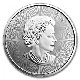 Canoe Canada Kanada Silber Silbermünze 1oz  1 Unze