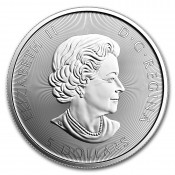 Canoe Canada Kanada Silber Silbermünze 1oz  1 Unze