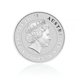 Trichternetzspinne 2015 1oz Unze Silber Silbermünze