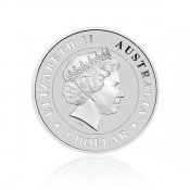 Trichternetzspinne 2015 1oz Unze Silber Silbermünze