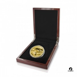 1 Unze Gold African Safari Lion 2018 PP 5000  Francs CFA  Bilder zeigen teilweise die vom Motiv identische 5 oz Münze