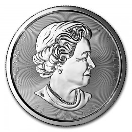 10 Unzen Silber Magnificient Maple Leaf Canada 50 CAD 2018