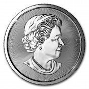10 Unzen Silber Magnificient Maple Leaf Canada 50 CAD 2018
