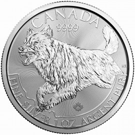 Predator Luchs Lynx Canada Kanada Silber Silbermünze 1oz  1 Unze 