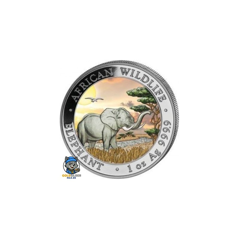 1 Unze Silber Somalia Elefant 2019 Coloriert
