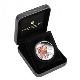 1/2 Unzen Silber Silbemünze Baby Monkey Affe Perth Mint