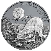 1 Unze oz Silber Känguru Niue Box 2019 Australien bei Nacht