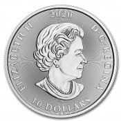 Bison Canada  2015 1 1/4 oz Unze Silber Silbermünze Gilded