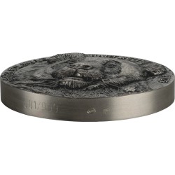 5 Unzen Silbermünze „Big Five Panda“ 2025 – Elfenbeinküste, High Relief, Antik Finish, Design von Mauquoy