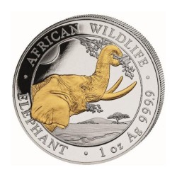 1 Unze Silber Silbermünze Somalia Elefant 2023 Teilvergoldet Gilded