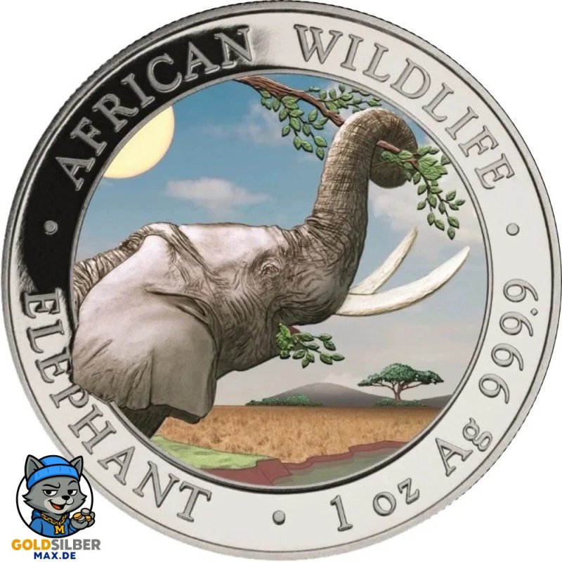 1 Unze Silber Silbermünze Somalia Elefant 2023 Coloriert