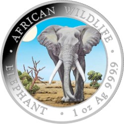 1 Unze Silber Silbermünze Somalia Elefant 2025 Coloriert