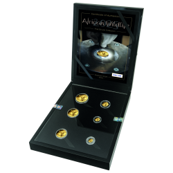 Somalia Elefant Set 1/10 - 1 Unzen  Gold PP Goldmünze 2025