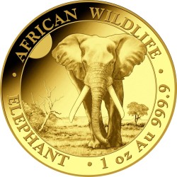 Somalia Elefant Set 1/10 - 1 Unzen  Gold PP Goldmünze 2025