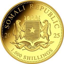 Somalia Elefant Set 1/10 - 1 Unzen  Gold PP Goldmünze 2025