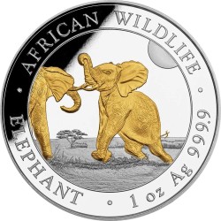 1 Unze Silber Silbermünze Somalia Elefant 2024 Teilvergoldet Gilded