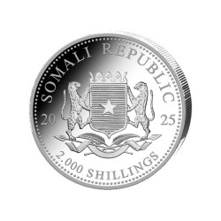 1 Kilo  Silber Silbermünze Somalia Elefant 2025