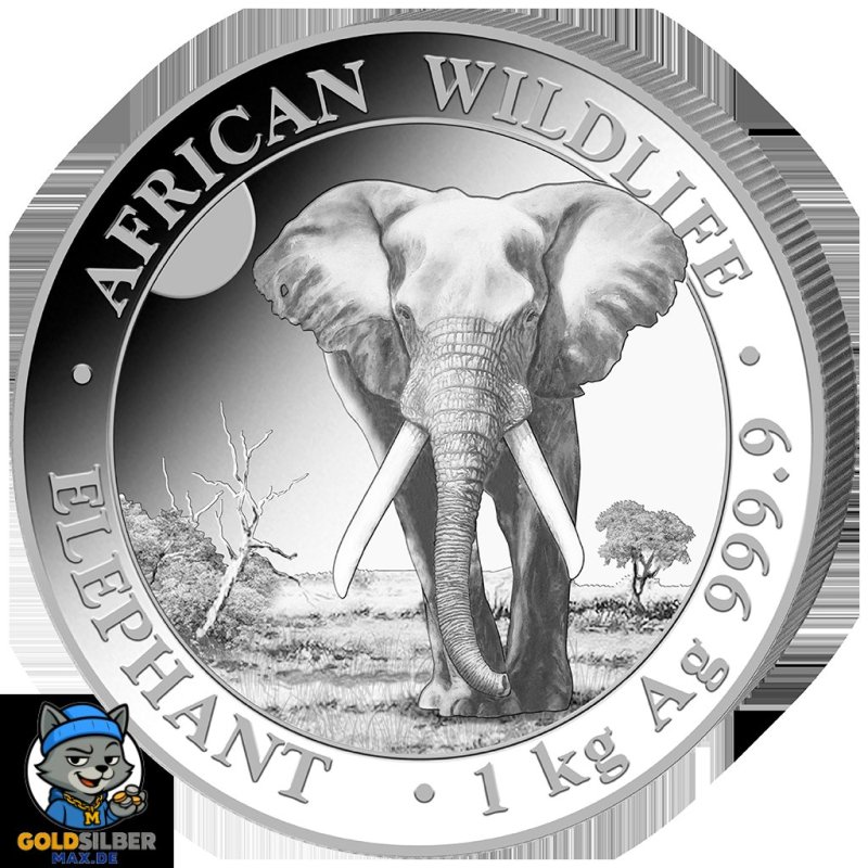 1 Kilo  Silber Silbermünze Somalia Elefant 2025