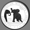 2 x1 oz Silber Somalia Elefant 2024 White Black Set