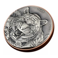 Double Giant Predators Tiger 2023 – 155 g Bi-Metall (Silber/Kupfer), Antique Finish