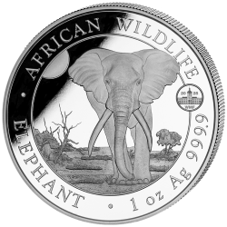 1 Unze Silber Somalia Elefant 2025 wmf