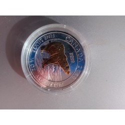 1/2 Unze Silber Polarbär 2018