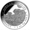 1 Unze Silber Somalia Elefant 2026