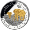 1 Unze Silber Silbermünze Somalia Elefant 2026 Teilvergoldet Gilded