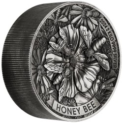 2 Kilo kg Silber Silbermünze Honey Bee 2024 Perth Mint