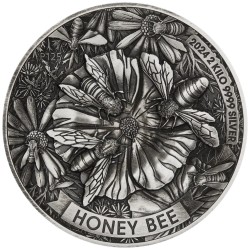 2 Kilo kg Silber Silbermünze Honey Bee 2024 Perth Mint