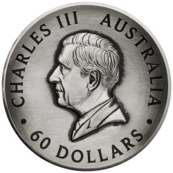 2 Kilo kg Silber Silbermünze Honey Bee 2024 Perth Mint