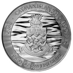 Cayman Island  Loggerhead Turtle 2025 1 oz Silber
