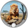 1 Unze Silber  Lion Löwe Kongo 2025 farbig