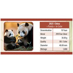 China Panda 2025  30 gr Gramm Silber Silbermünze Farbig