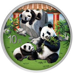 China Panda 2025  30 gr Gramm Silber Silbermünze Farbig