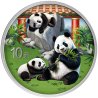 China Panda 2025  30 gr Gramm Silber Silbermünze Farbig