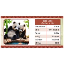 China Panda 2026  30 gr Gramm Silber Silbermünze Farbig