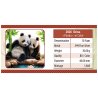 China Panda 2026  30 gr Gramm Silber Silbermünze Farbig