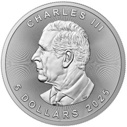 1 Unze Silber Maple Leaf 2025 – Burning Bitcoin