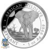 18,85 oz First Struck Set Silber Somalia Elefant 2025