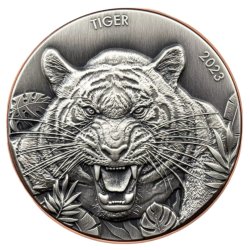 Double Giant Predators Tiger 2023 – 155 g Bi-Metall (Silber/Kupfer), Antique Finish