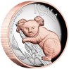 5 Unzen  Silber Australien Koala 2025 High Relief teilvergoldet mit Rosegold