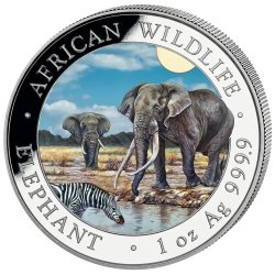 2 x1 oz Silber Somalia Elefant 2026 Tag Nacht Set