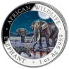 2 x1 oz Silber Somalia Elefant 2026 Tag Nacht Set