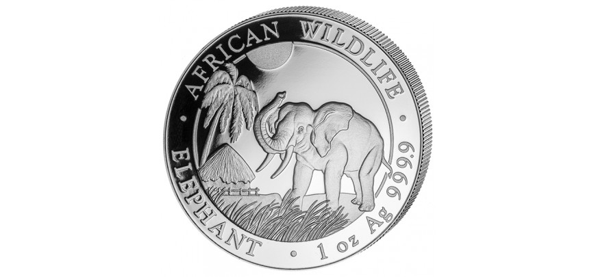Somalia Elefant Elephant Wildlife Serie Silber Größe  1  5  10  Unze  1 kg